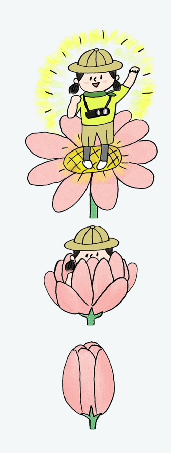 もやもや探検家